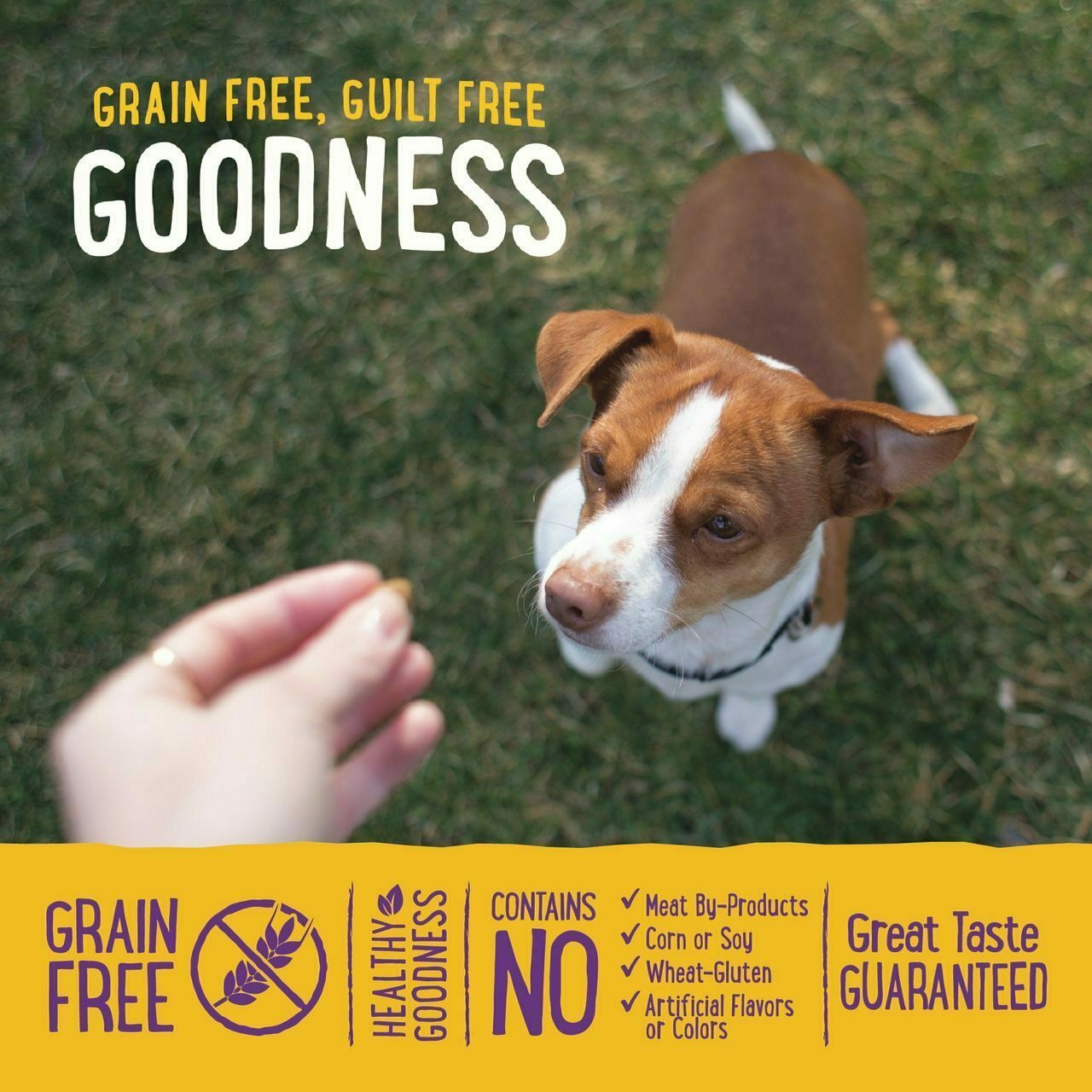 Wellness Wel-lbites Natural Grain Free Soft Dog Treats, Beef & Turkey Recipe, 6-oz Bag image number null