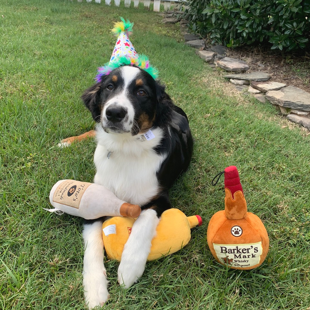 Huxley & Kent Dog Power Plush TOTO'S PAWDKA-SM image number null