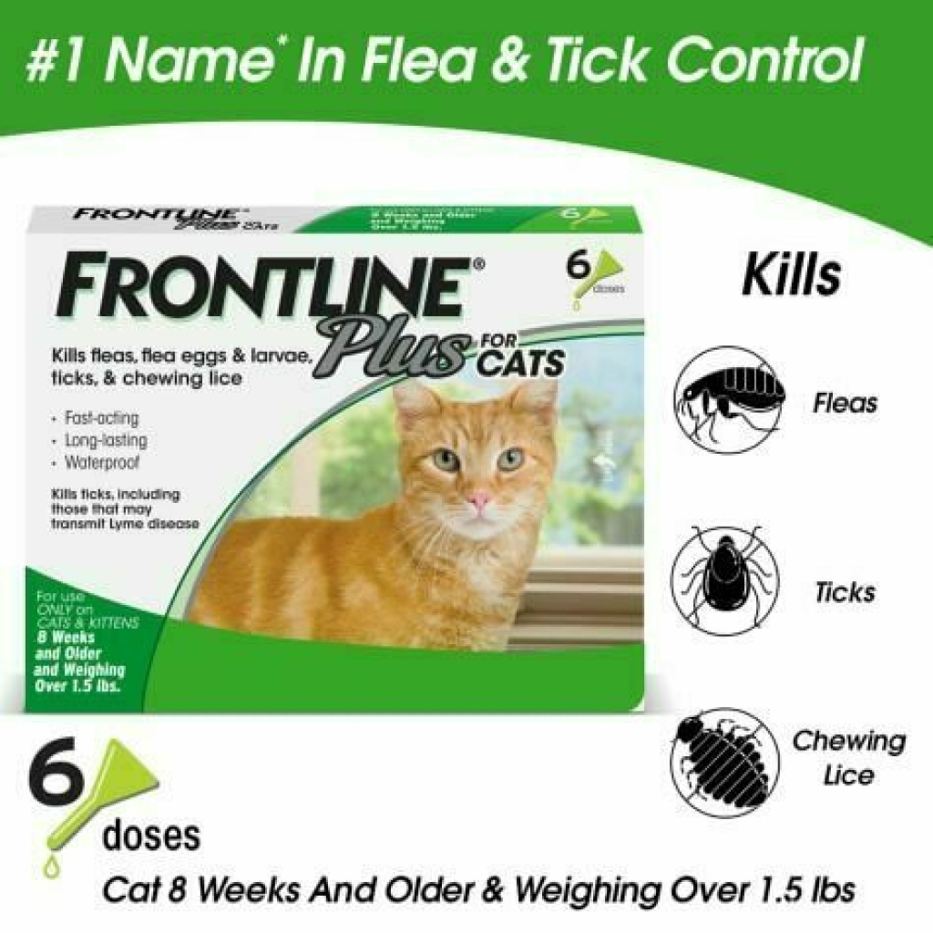 20-lb 6 Pack Frontline Cat image number null