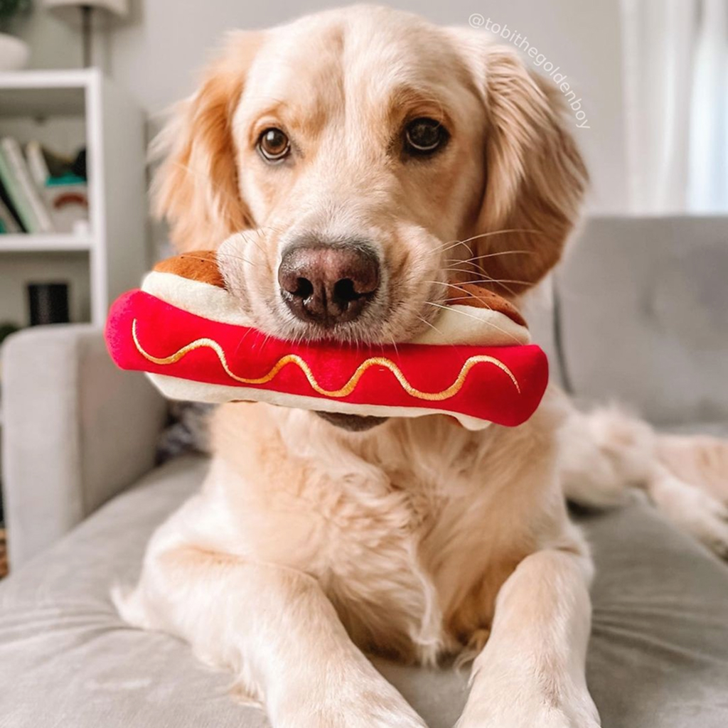 Huxley & Kent Dog Power Plush HAUTE DAWG-LG image number null