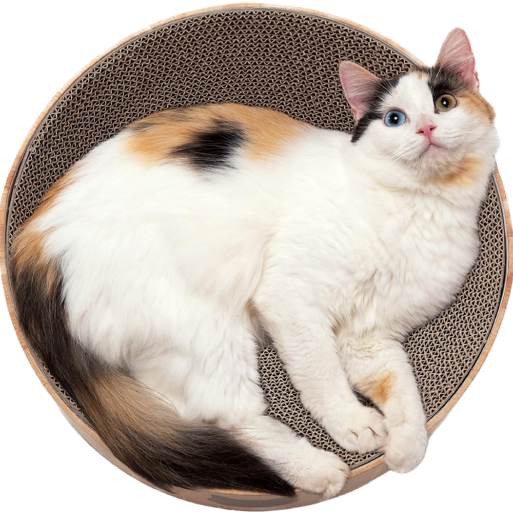 Cozy Scratcher Bowl Bed(Cat) image number null
