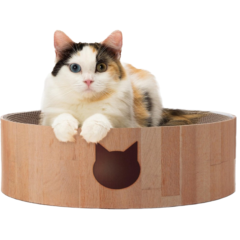 Cozy Scratcher Bowl Bed(Cat) image number null